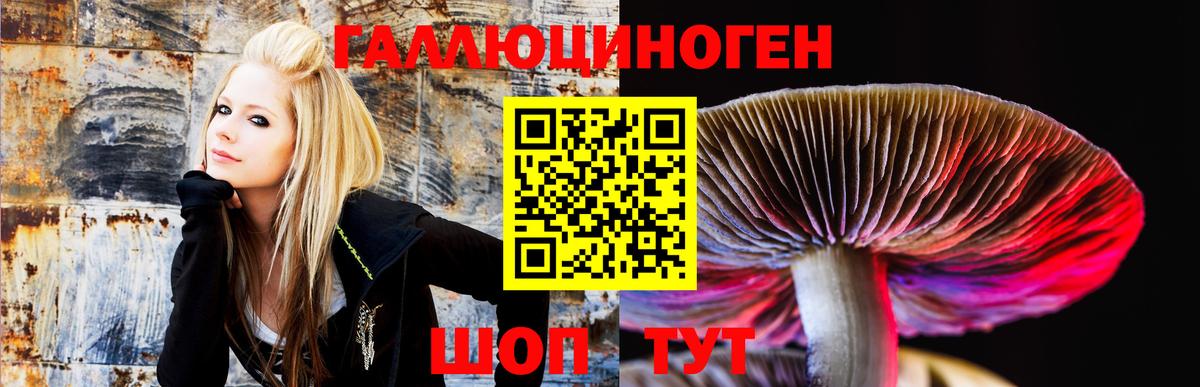 Кокаин  Горячий Ключ  Кетамин  Кодеин  Экстази  Вход с VPN  Меф МЯУ МЯУ кристаллы  Канабис  АМФ кристаллы  Гашиш 
